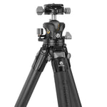 VEO 5X 304CLB Carbon Tripod & Ball Head - 20kg load capacity