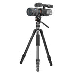 VESTA GO 264CV 12 Carbon Travel Tripod with Video Head - 6kg Capacity